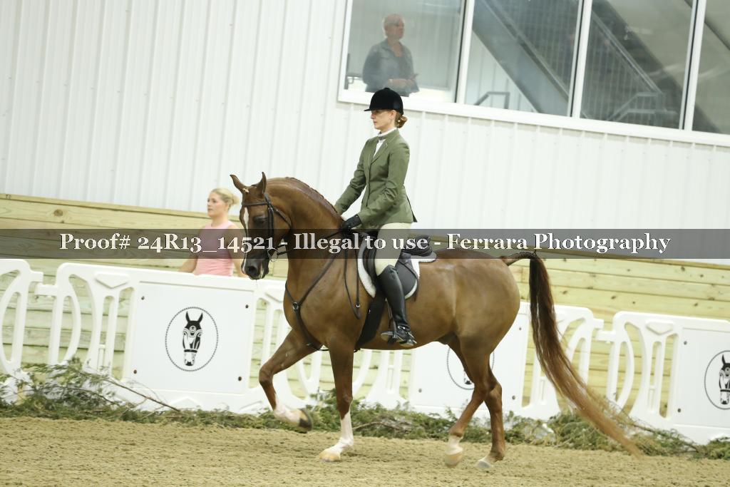 Proof Number 24R13_14521