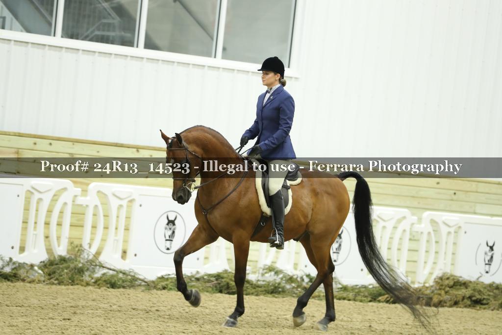 Proof Number 24R13_14523