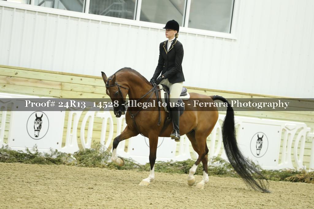 Proof Number 24R13_14528