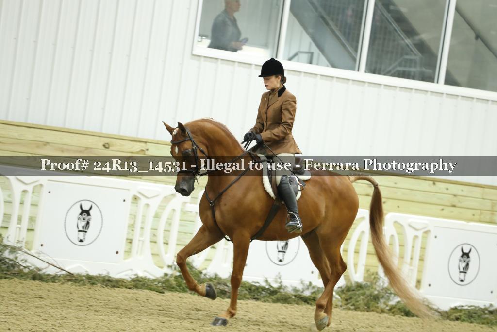 Proof Number 24R13_14531