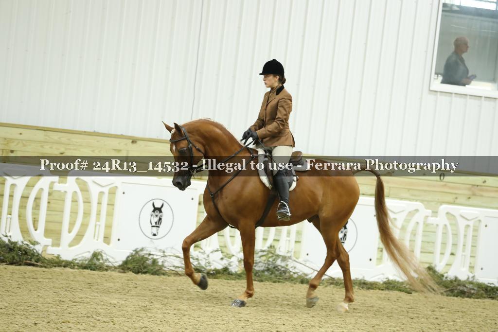 Proof Number 24R13_14532