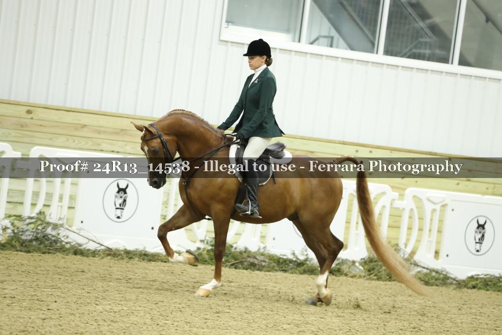 Proof Number 24R13_14538