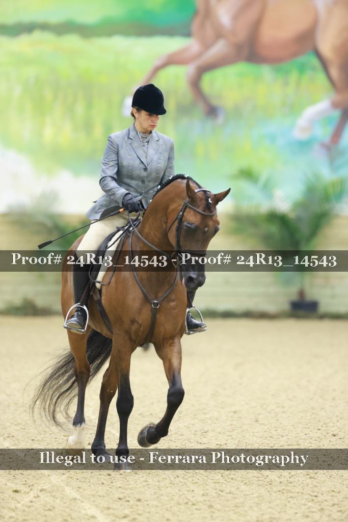 Proof Number 24R13_14543