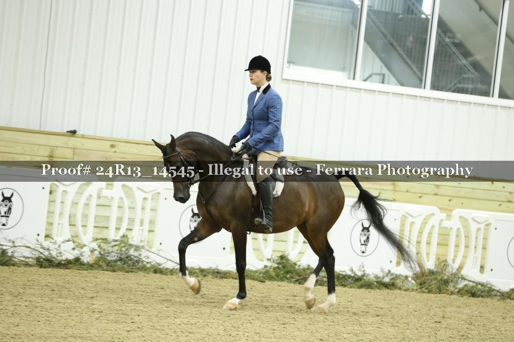Proof Number 24R13_14545