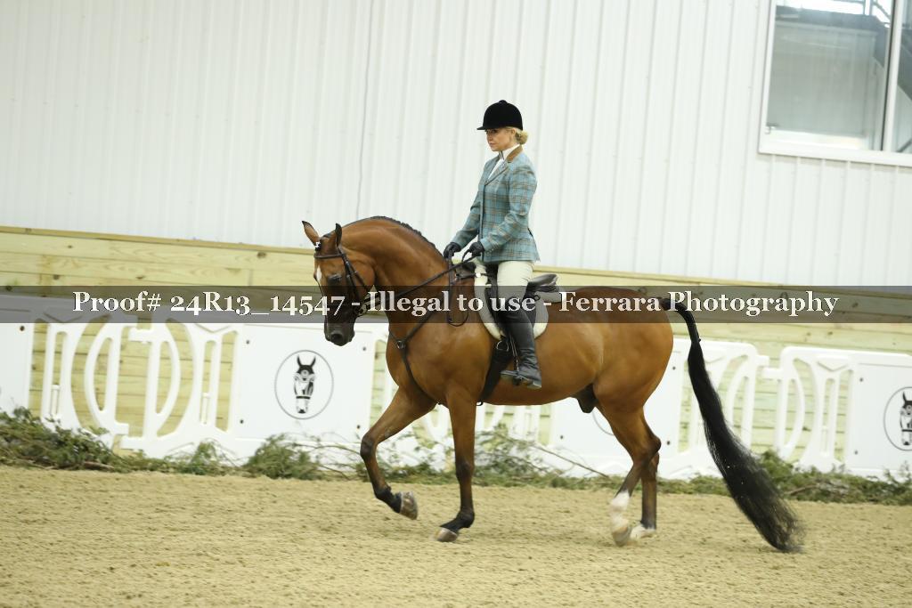 Proof Number 24R13_14547