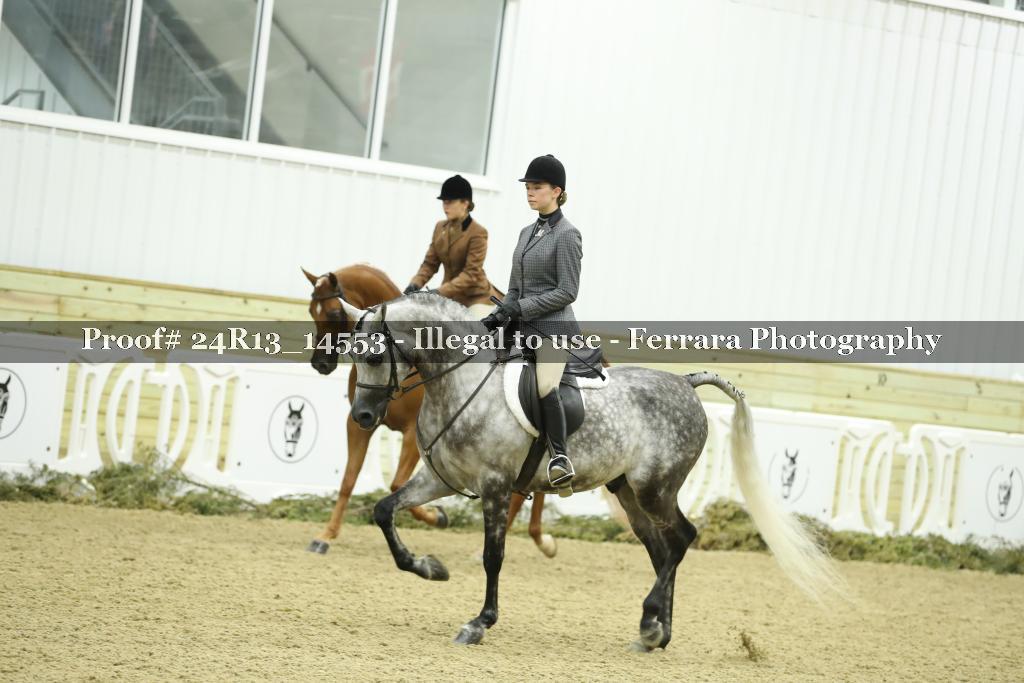 Proof Number 24R13_14553