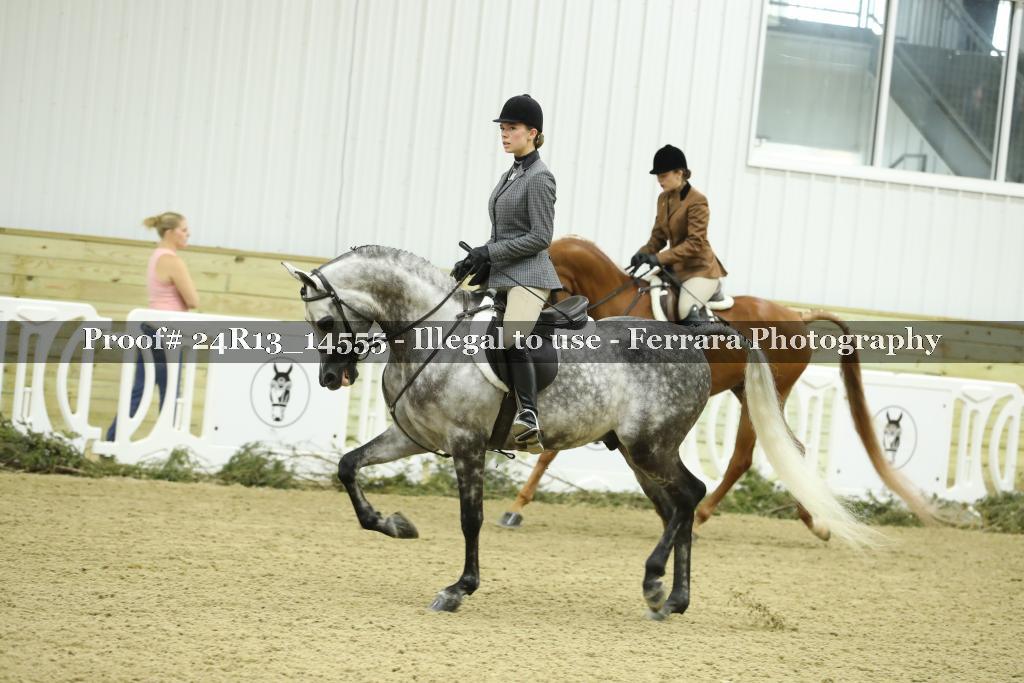 Proof Number 24R13_14555