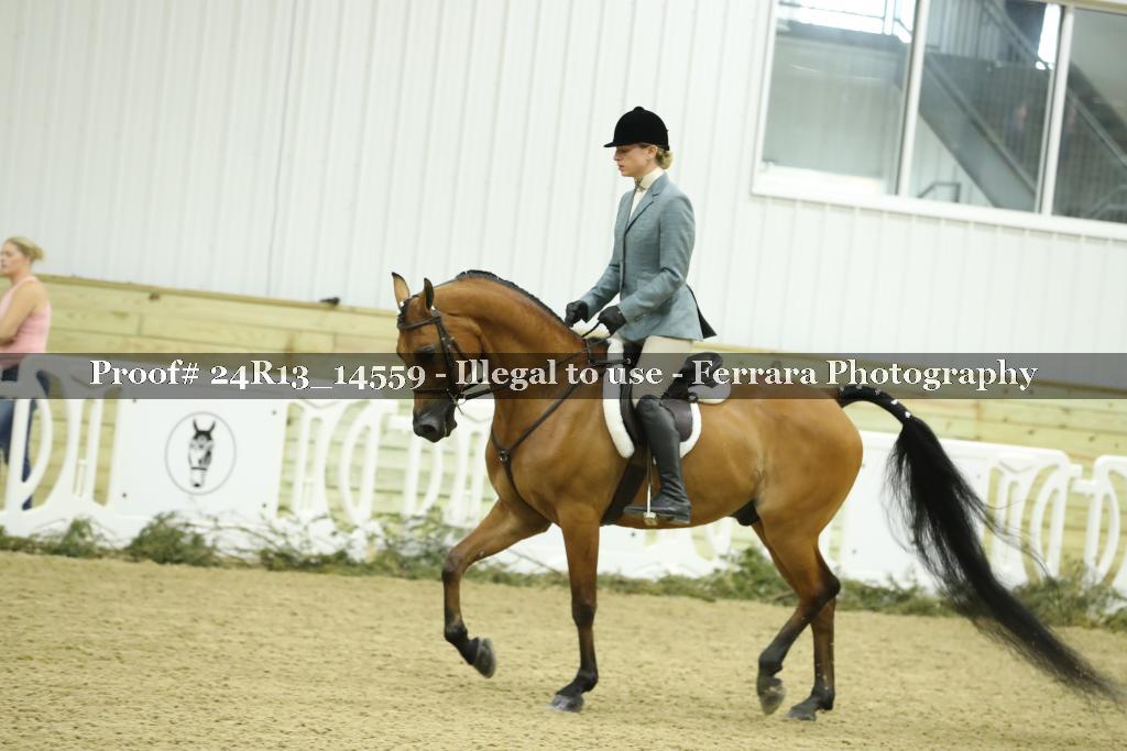 Proof Number 24R13_14559