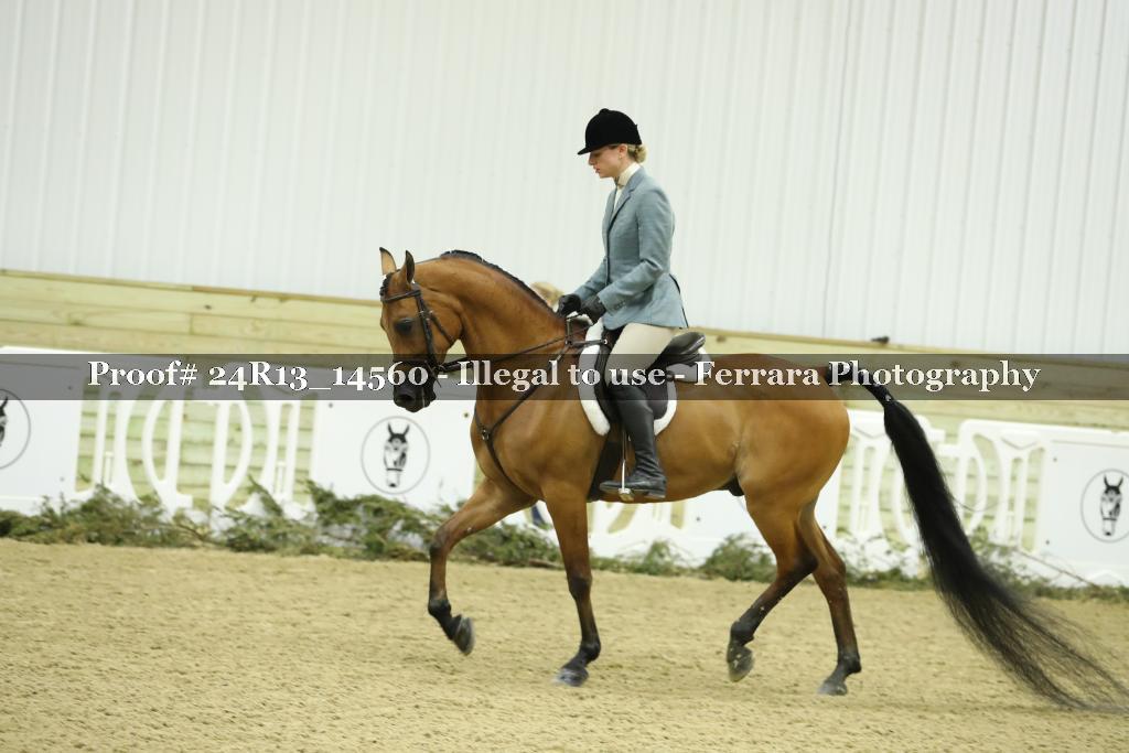 Proof Number 24R13_14560
