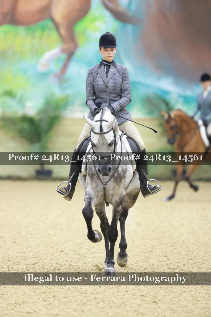Proof Number 24R13_14561