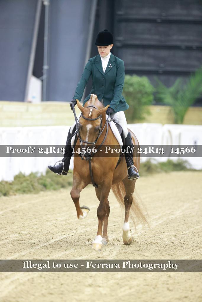 Proof Number 24R13_14566