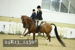 24R13_14567 thumbnail