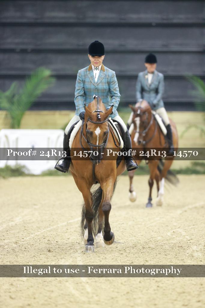 Proof Number 24R13_14570
