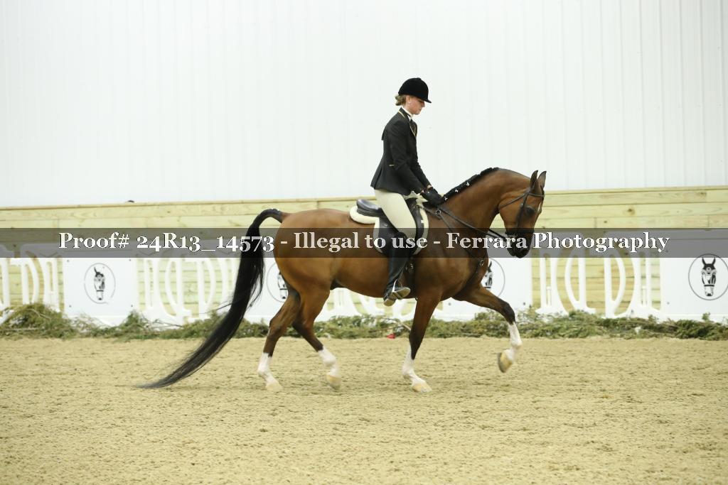 Proof Number 24R13_14573