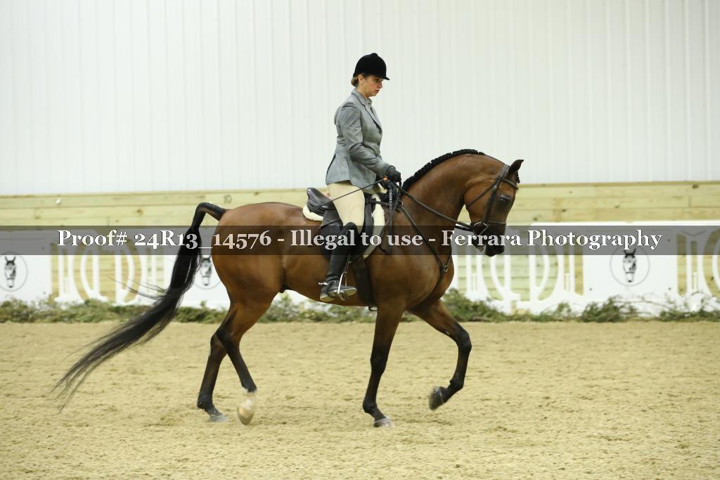 Proof Number 24R13_14576