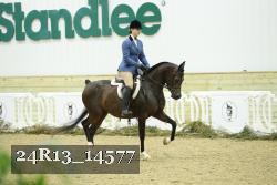 24R13_14577 thumbnail