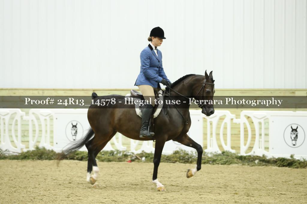 Proof Number 24R13_14578