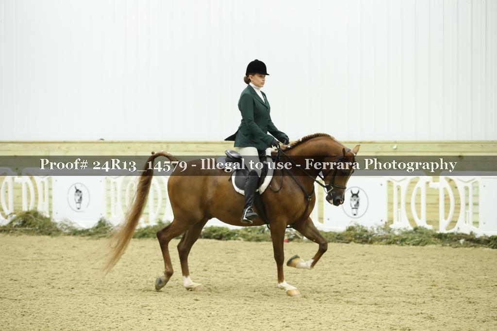 Proof Number 24R13_14579