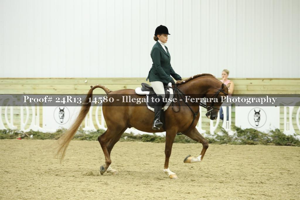 Proof Number 24R13_14580