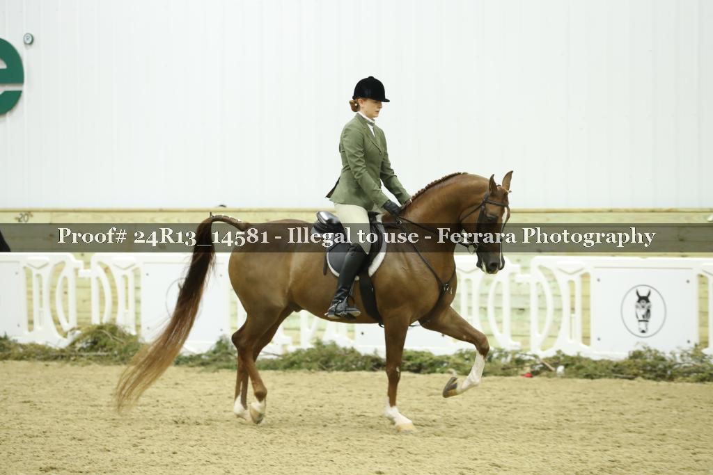 Proof Number 24R13_14581