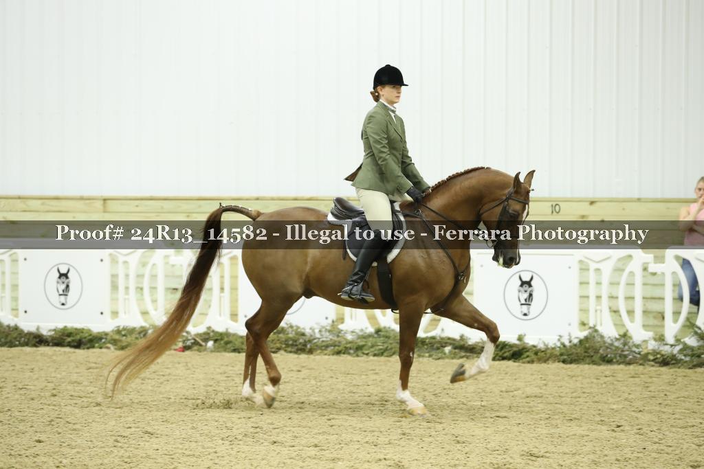 Proof Number 24R13_14582