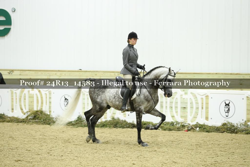 Proof Number 24R13_14583