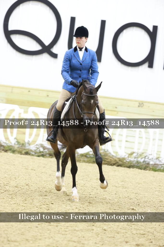 Proof Number 24R13_14588