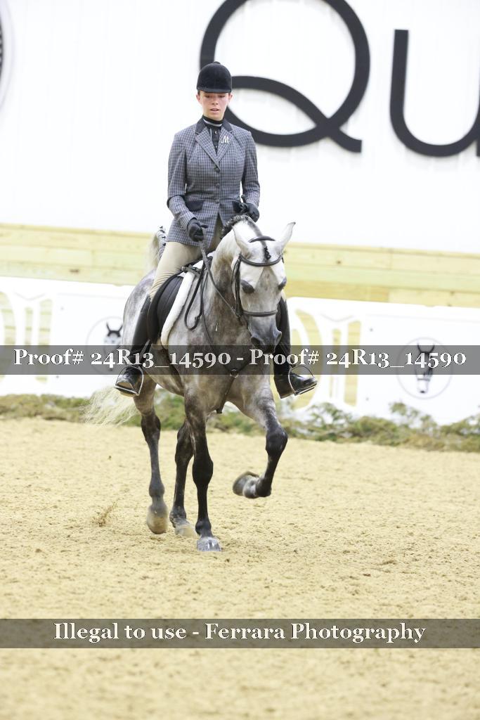 Proof Number 24R13_14590