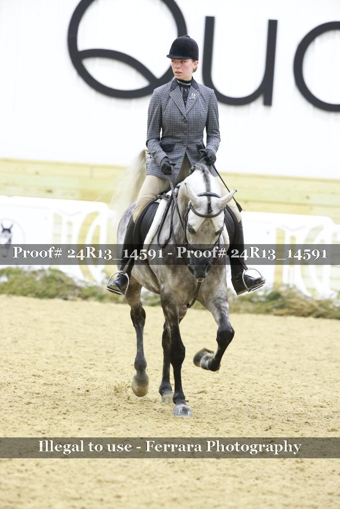 Proof Number 24R13_14591