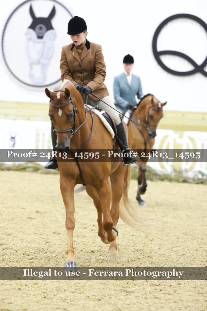 Proof Number 24R13_14595