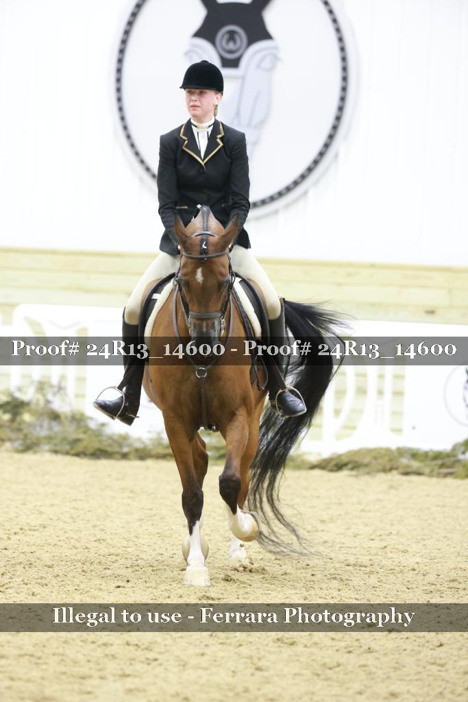 Proof Number 24R13_14600