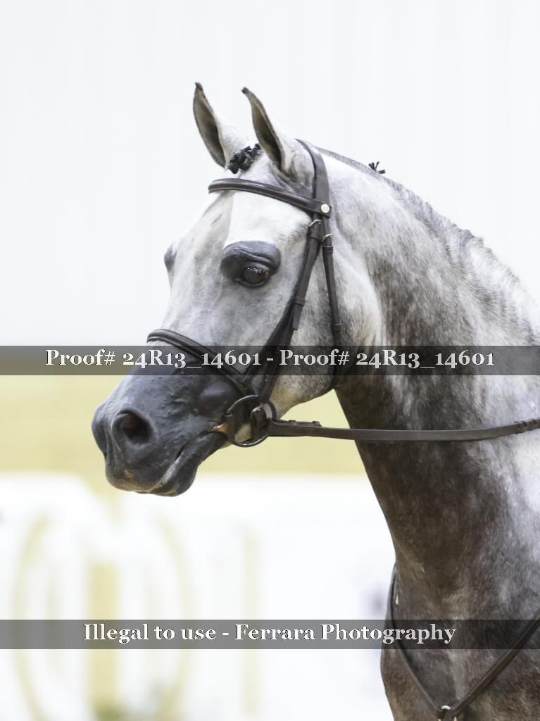 Proof Number 24R13_14601