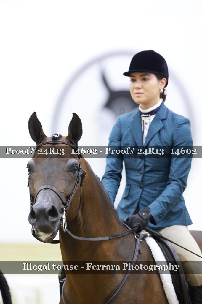 Proof Number 24R13_14602