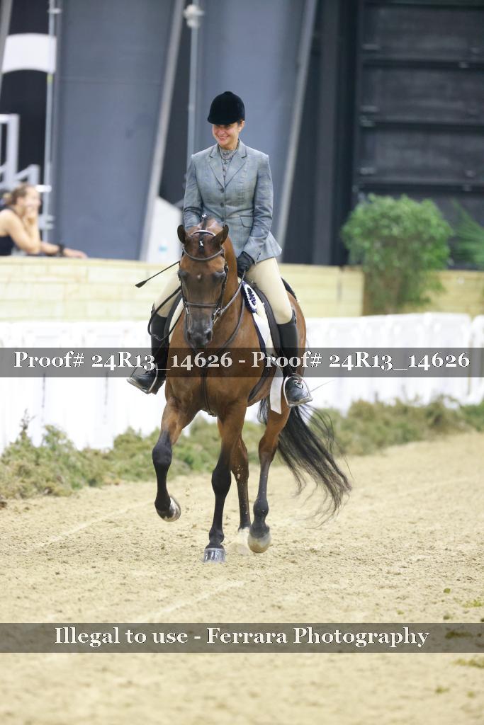 Proof Number 24R13_14626