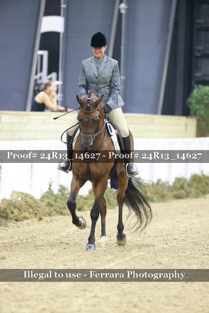 Proof Number 24R13_14627