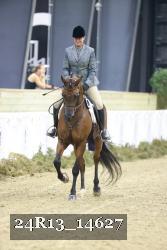 24R13_14627 thumbnail