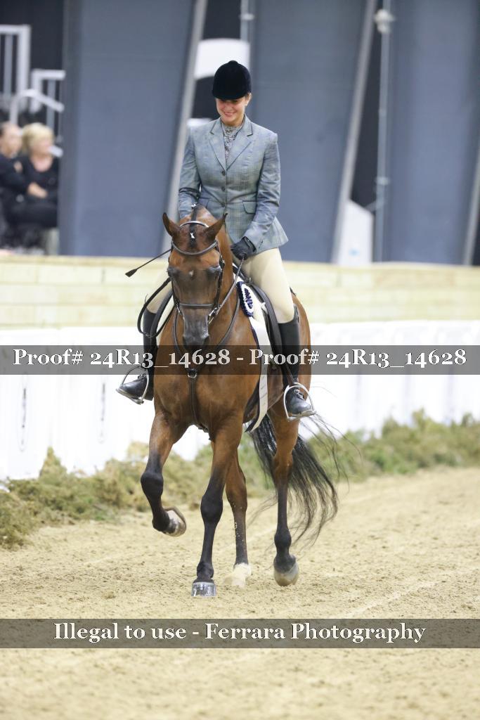 Proof Number 24R13_14628
