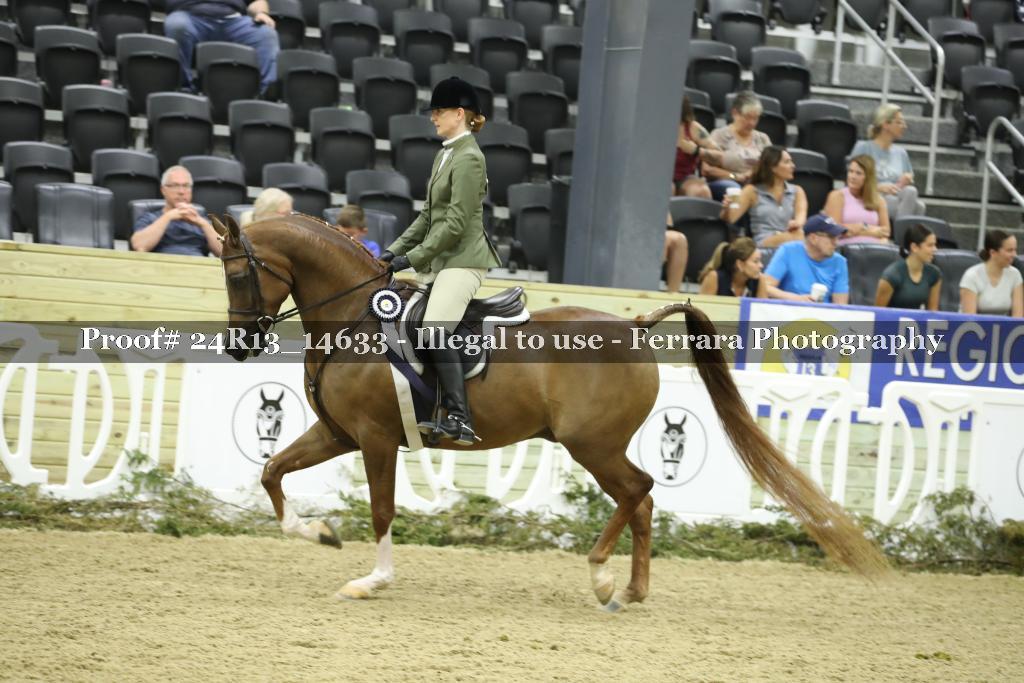 Proof Number 24R13_14633