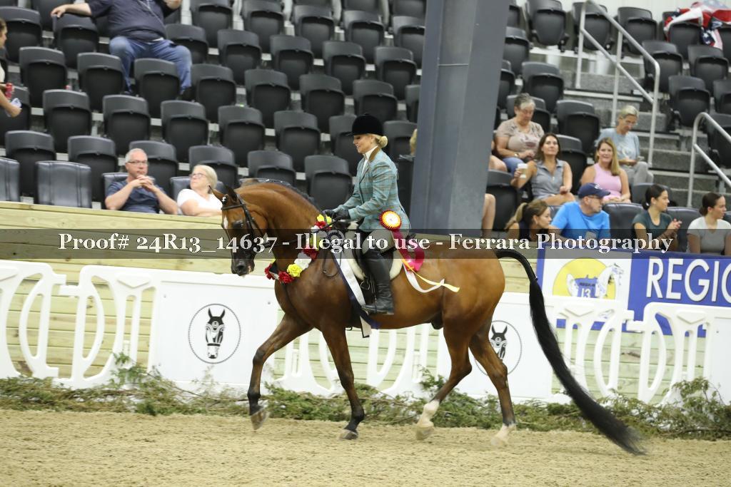 Proof Number 24R13_14637
