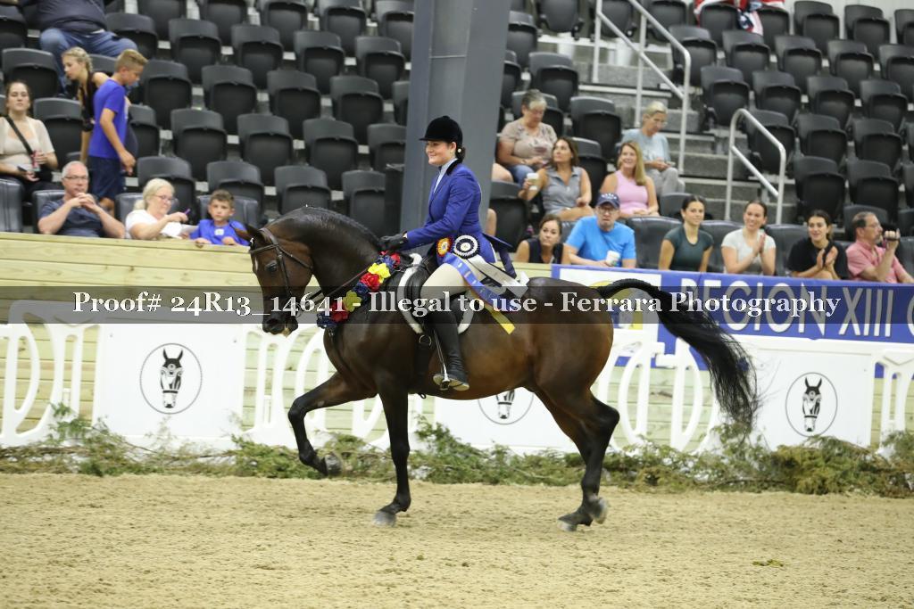 Proof Number 24R13_14641