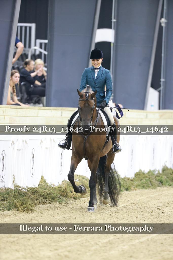 Proof Number 24R13_14642