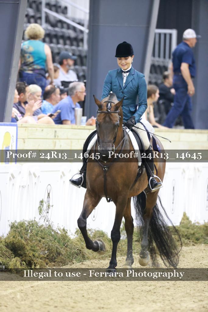 Proof Number 24R13_14645