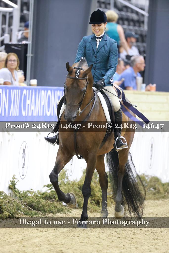 Proof Number 24R13_14647