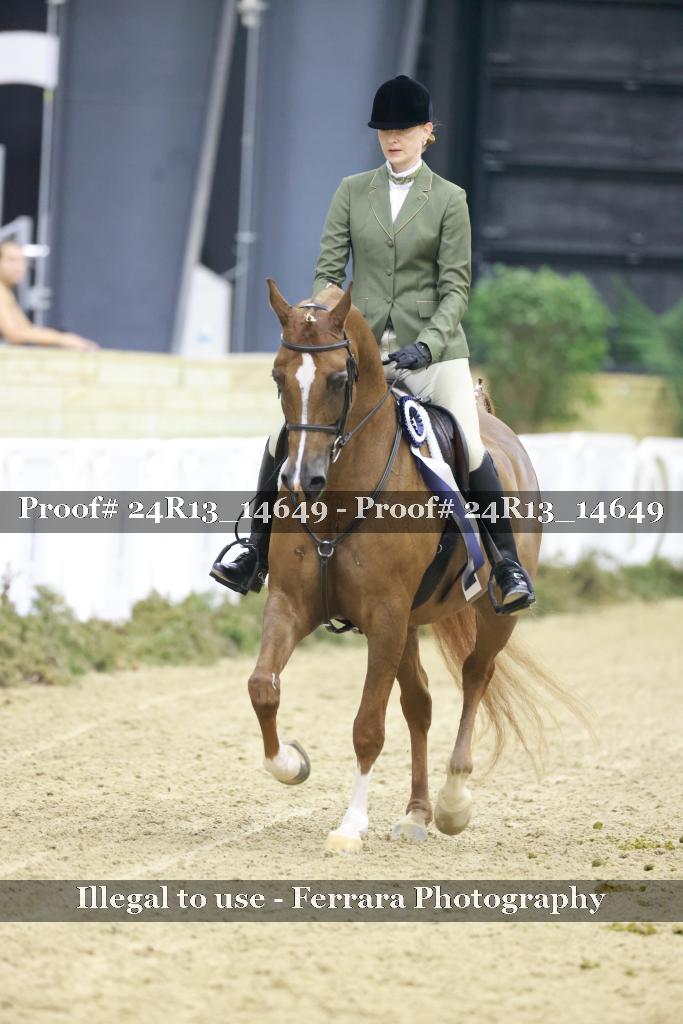 Proof Number 24R13_14649