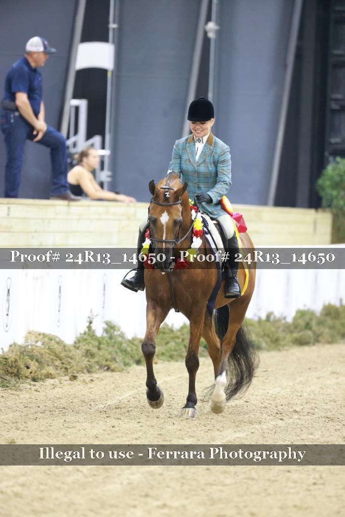 Proof Number 24R13_14650