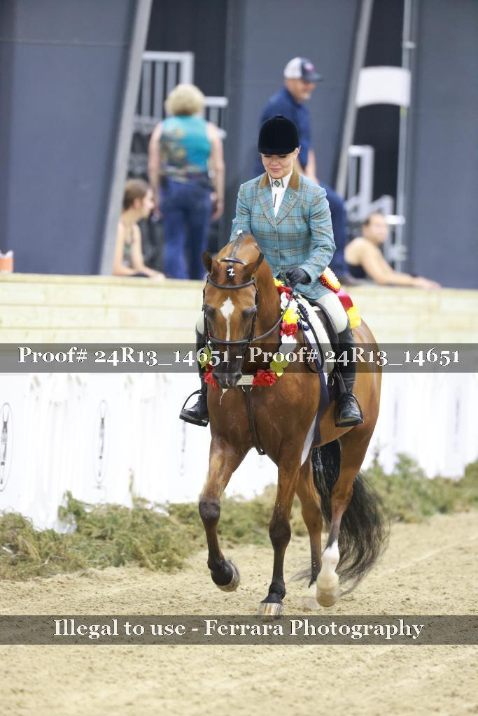 Proof Number 24R13_14651