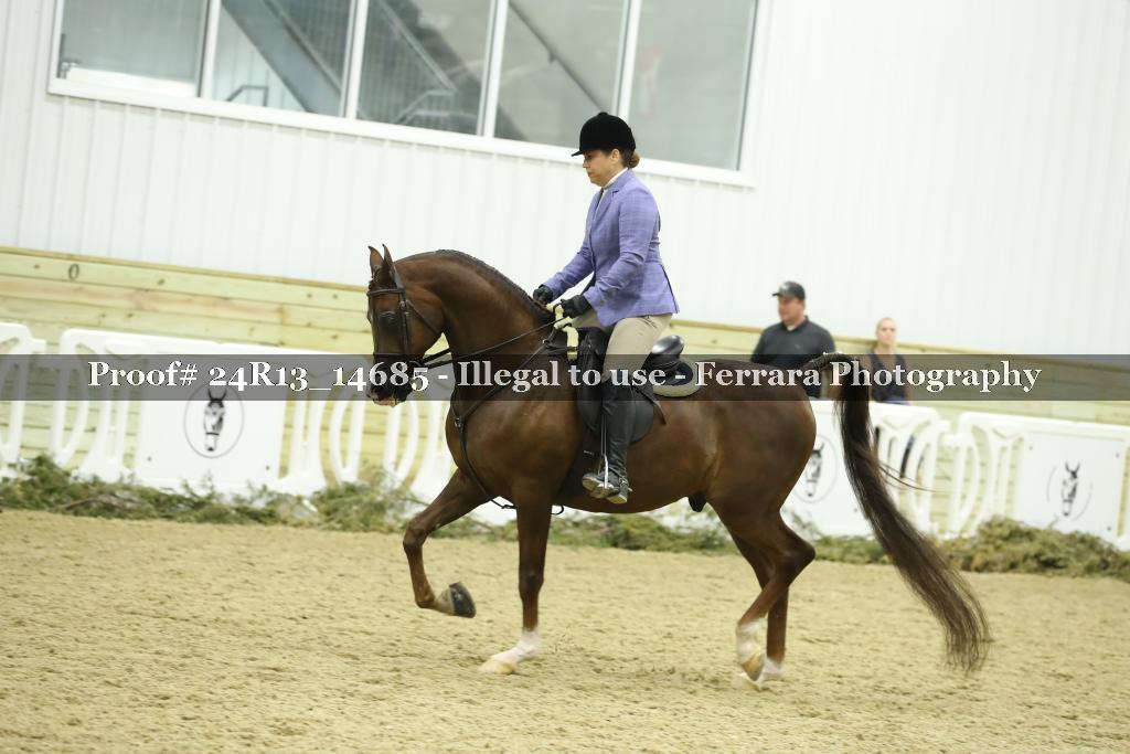 Proof Number 24R13_14685