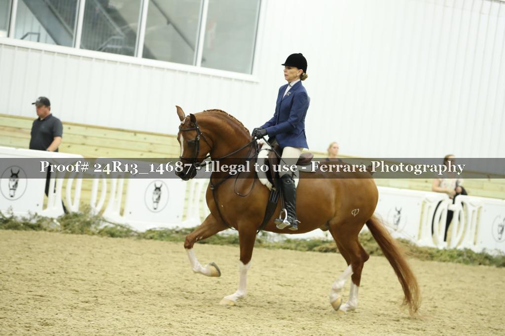 Proof Number 24R13_14687