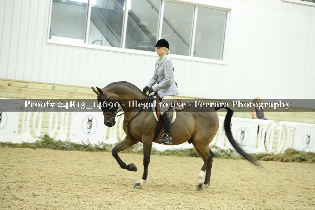 Proof Number 24R13_14690