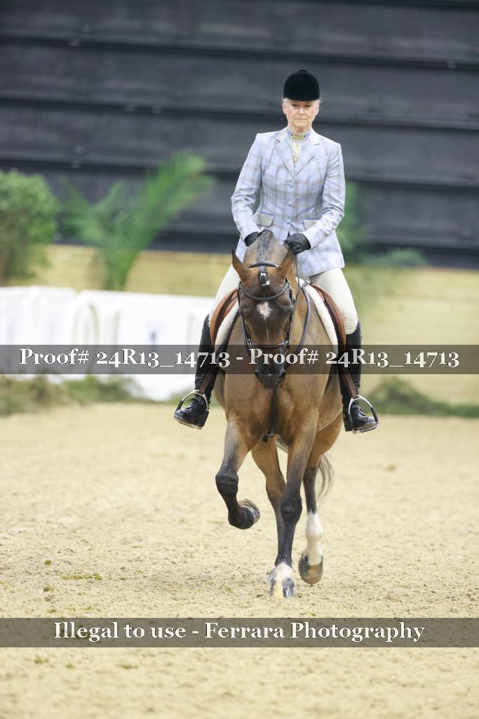 Proof Number 24R13_14713